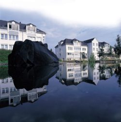 Michel Development & Consulting in Andernach Michel Development & Consulting in Andernach